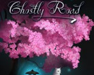 Cat and Ghostly Road